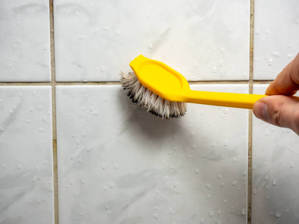 Reliable Angier, NC Mold Removal Solutions