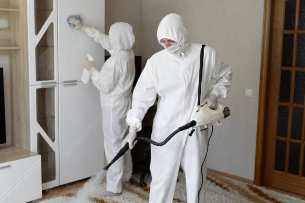 Best Residential Mold Removal  in Angier, NC