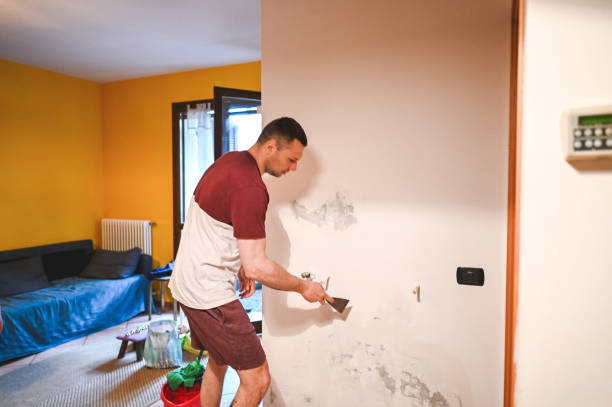 Best Local Mold Removal Service  in Angier, NC
