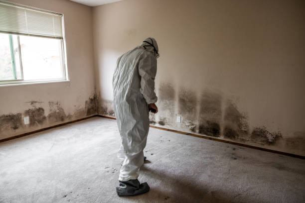 Crawl Space Mold Removal in Angier, NC
