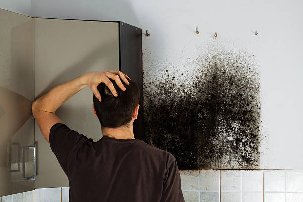Best Mold Removal Near Me  in Angier, NC